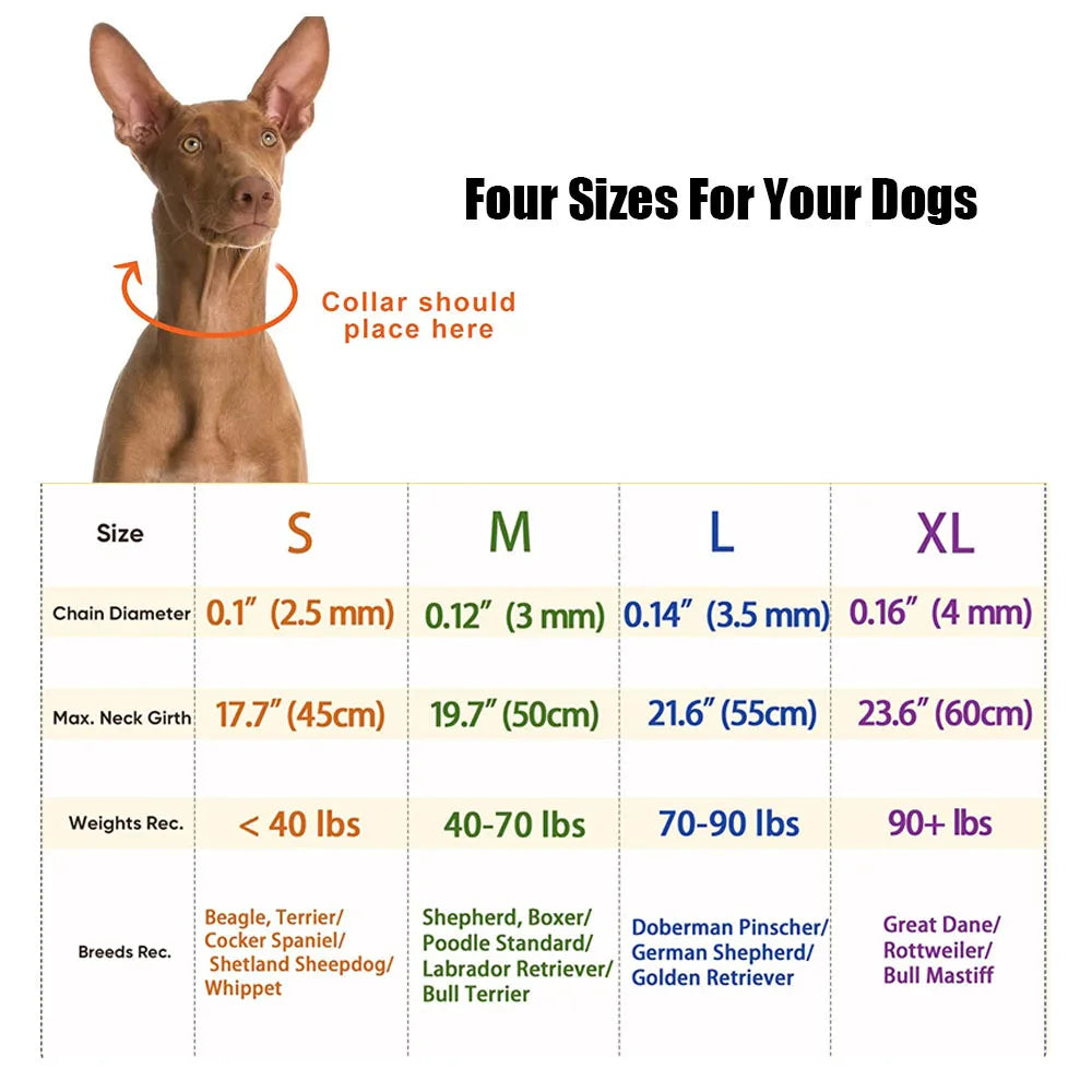 S3fe3bad95c564654a7e02ec32e8d0088a