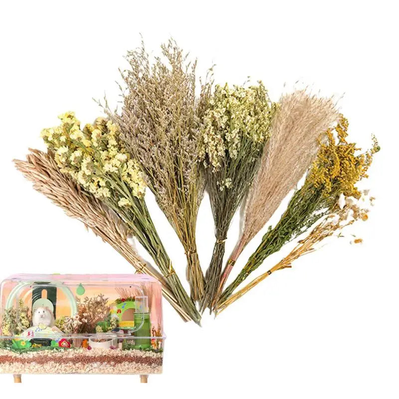 S77d02d58b354406cb5c0b1f83a3b06d5l