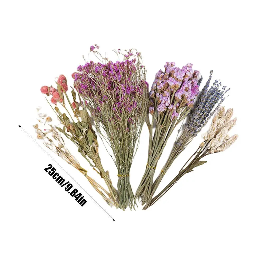 S9ab477d06e8f43daa1e11a598e15459fz